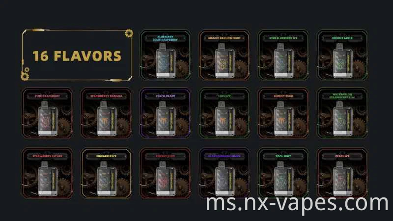 Maskking XTRO 10000 (2)